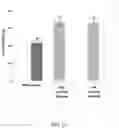 Fig. 16 - PHYTOHORMONE ENRICHED MICROALGAE METHODS AND COMPOSITIONS