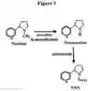 Fig. 02 - Alteration of tobacco alkaloid content through modification of specific cytochrome P450 genes