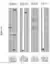 Fig. 06 - Alteration of tobacco alkaloid content through modification of specific cytochrome P450 genes