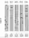 Fig. 09 - Alteration of tobacco alkaloid content through modification of specific cytochrome P450 genes