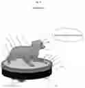 Fig. 02 - Dog's play partner AI dog