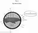 Fig. 07 - Dog's play partner AI dog