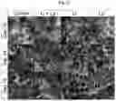 Fig. 16 - Methods for enhancing poultry growth and performance