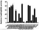 Fig. 01 - Genetically modified non-human animal with human or chimeric PD-L1