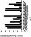 Fig. 02 - Genetically modified non-human animal with human or chimeric PD-L1
