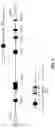 Fig. 06 - Genetically modified non-human animal with human or chimeric PD-L1