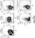 Fig. 10 - Genetically modified non-human animal with human or chimeric PD-L1