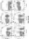 Fig. 17 - Genetically modified non-human animal with human or chimeric PD-L1