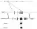 Fig. 01 - Genetically modified mouse expressing human APOE4 and mouse Trem2 p.R47H and methods of use thereof