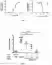 Fig. 08 - Humanized IL-4 and IL-4Ra animals