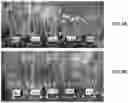 Fig. 04 - Methods and compositions for modifying plant growth and reducing water consumption by plants