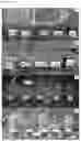 Fig. 07 - Methods and compositions for modifying plant growth and reducing water consumption by plants
