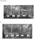 Fig. 08 - Methods and compositions for modifying plant growth and reducing water consumption by plants