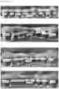 Fig. 14 - Methods and compositions for modifying plant growth and reducing water consumption by plants