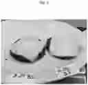 Fig. 05 - Method for Making a Heat-treated Cheese