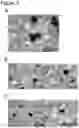 Fig. 05 - Functional chocolate