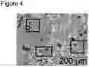 Fig. 06 - Functional chocolate