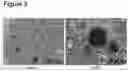 Fig. 07 - Functional chocolate
