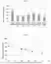 Fig. 08 - Nicotine liquid formulations for aerosol devices and methods thereof