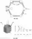 Fig. 18 - Laterally supported filaments