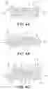 Fig. 05 - Shoe sole