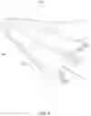 Fig. 05 - FLASK ASSEMBLY