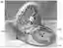 Fig. 01 - Transformable baby activity center with arch