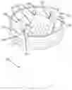 Fig. 01 - MOP DRAINING BUCKET ADAPTER