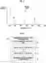 Fig. 05 - Medical image processor, endoscope system, and method of operating medical image processor