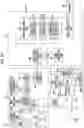 Fig. 14 - Medical image processor, endoscope system, and method of operating medical image processor