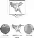 Fig. 12 - Devices and methods for mapping cardiac tissue