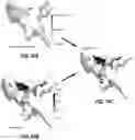 Fig. 14 - Devices and methods for mapping cardiac tissue
