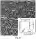 Fig. 29 - Ophthalmoscopy method