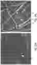 Fig. 33 - Ophthalmoscopy method