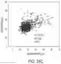 Fig. 41 - Ophthalmoscopy method