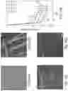 Fig. 48 - Ophthalmoscopy method