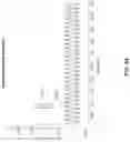 Fig. 71 - Systems and methods for performing electrophysiology (EP) signal processing