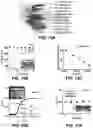 Fig. 52 - Encapsulated flexible electronics for long-term implantation