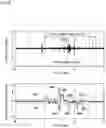 Fig. 09 - Swallowing sensor