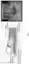 Fig. 02 - Real-time parathyroid imaging device