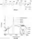 Fig. 05 - System for optically measuring muscle sarcomere length