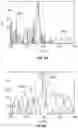 Fig. 06 - System for optically measuring muscle sarcomere length