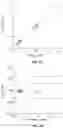 Fig. 07 - System for optically measuring muscle sarcomere length