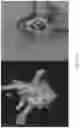 Fig. 24 - Estimation of effectiveness of ablation adjacency