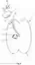 Fig. 06 - Time-synchronized deep brain stimulation optimization