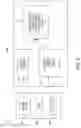 Fig. 06 - Fluid-injector for a simultaneous anatomical and fluid dynamic analysis in coronary angiography