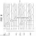 Fig. 09 - Ultrasonic Diagnosis Device and Electronic Circuit