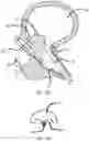 Fig. 13 - Expandable tissue engagement apparatus and method
