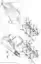 Fig. 06 - Post-Implantation Tension Adjustment in Cardiac Implants