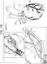 Fig. 29 - Tissue anchors with hemostasis seal